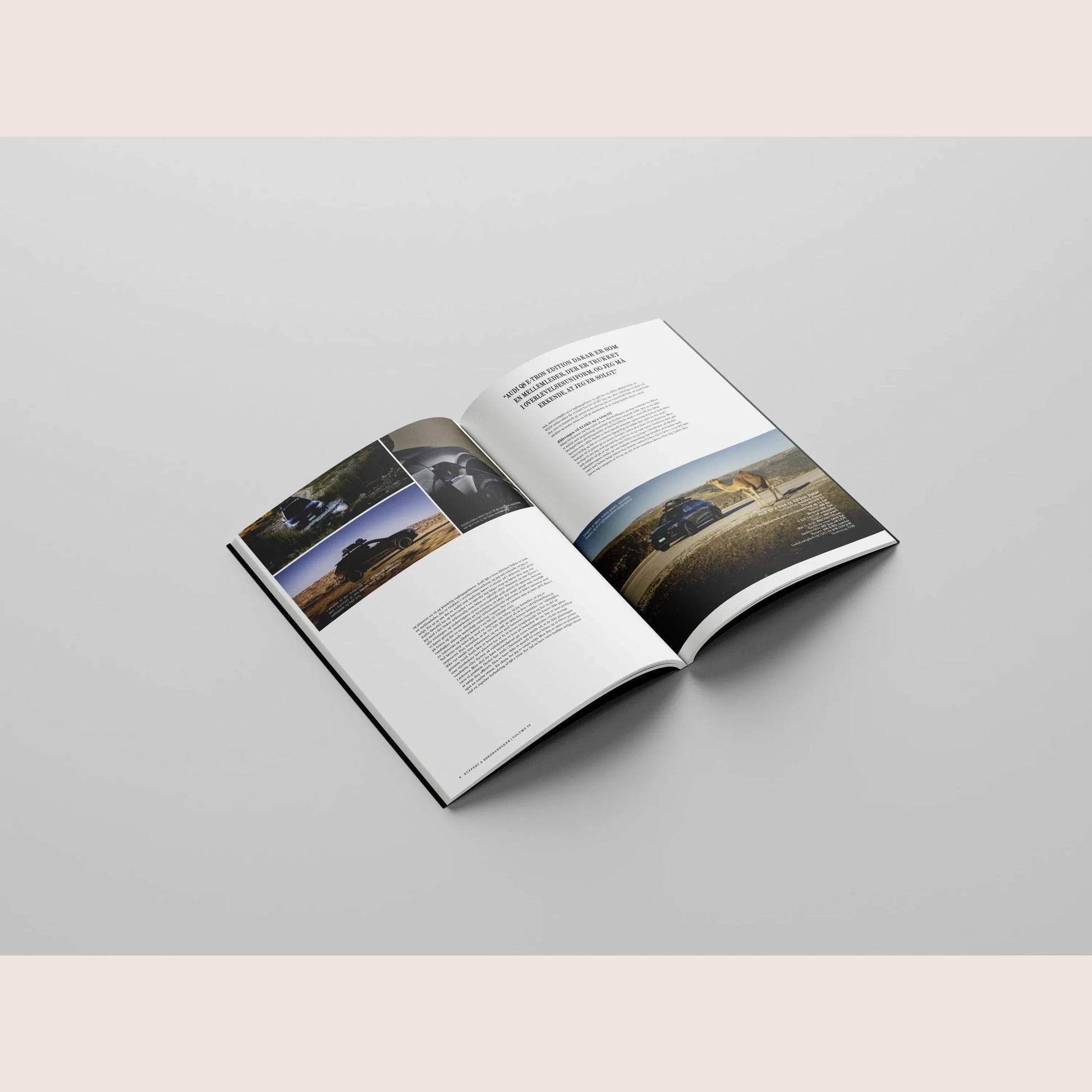 Suitcase & Driving Gloves Automotive Handbook 2024 - A comprehensive guide to car history, models and technical details.