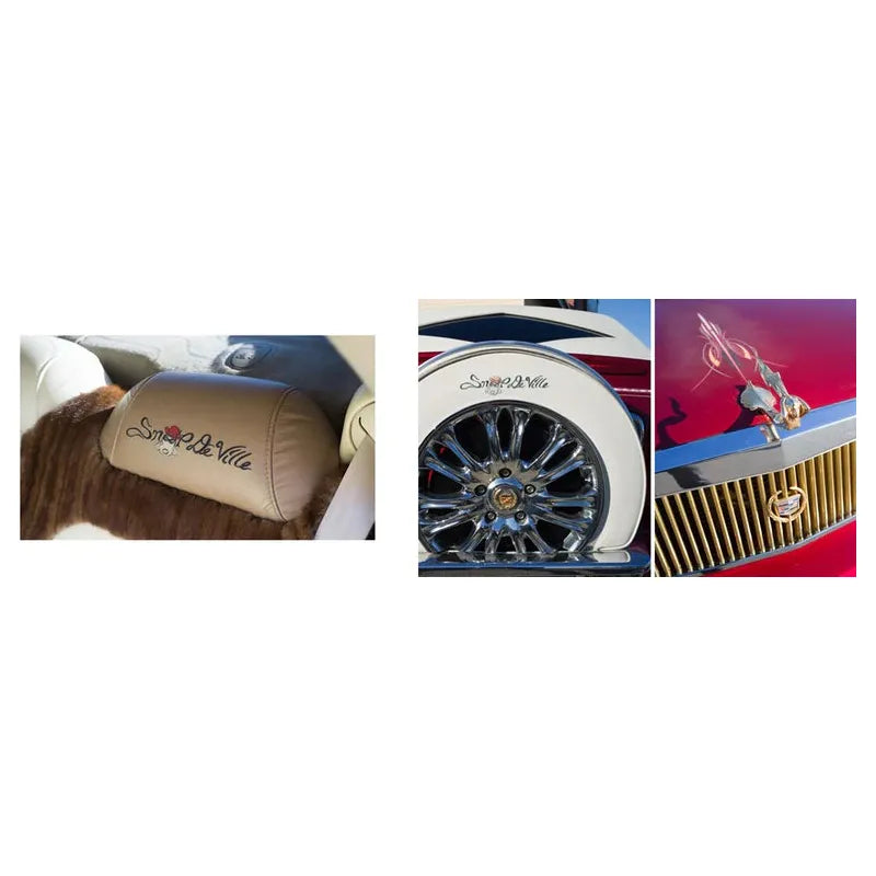 A Man & His Car - A book that explores men's relationships with their cars.